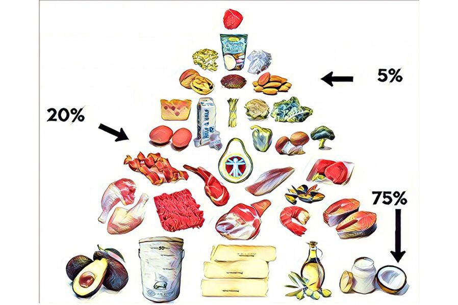 酮饮食食物金字塔